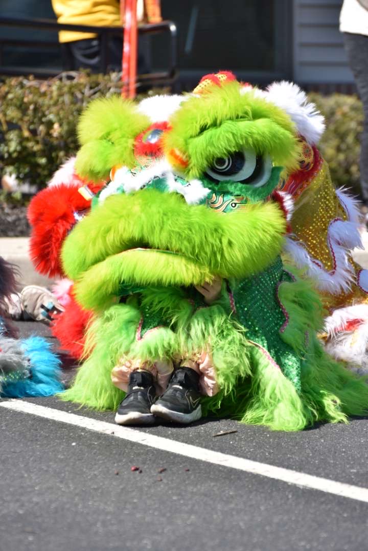 A young Bao Bao Lion performer crouched low in a green lion costume during a performance