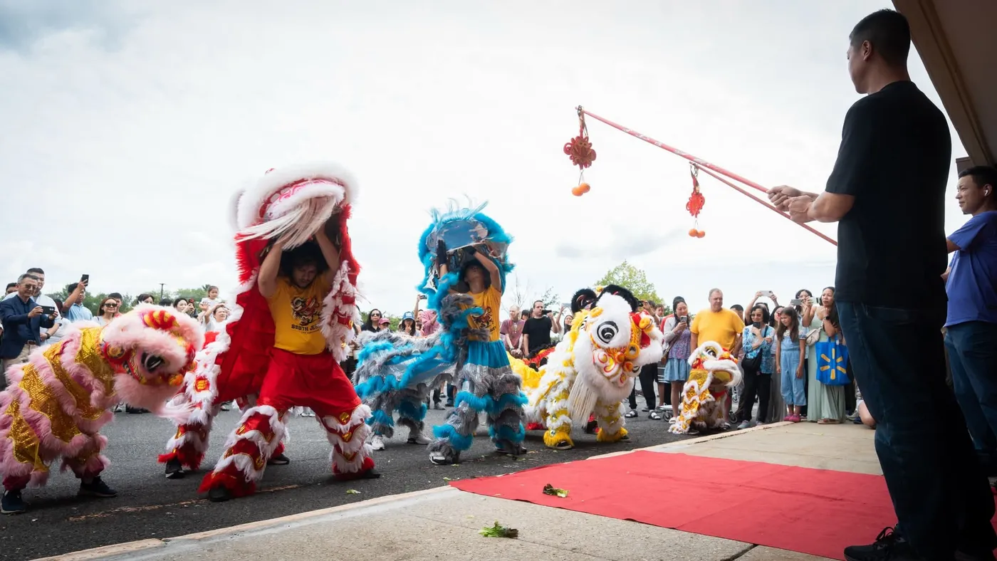Lions performing on a red carpet as a lettuce offering is held out on a pole