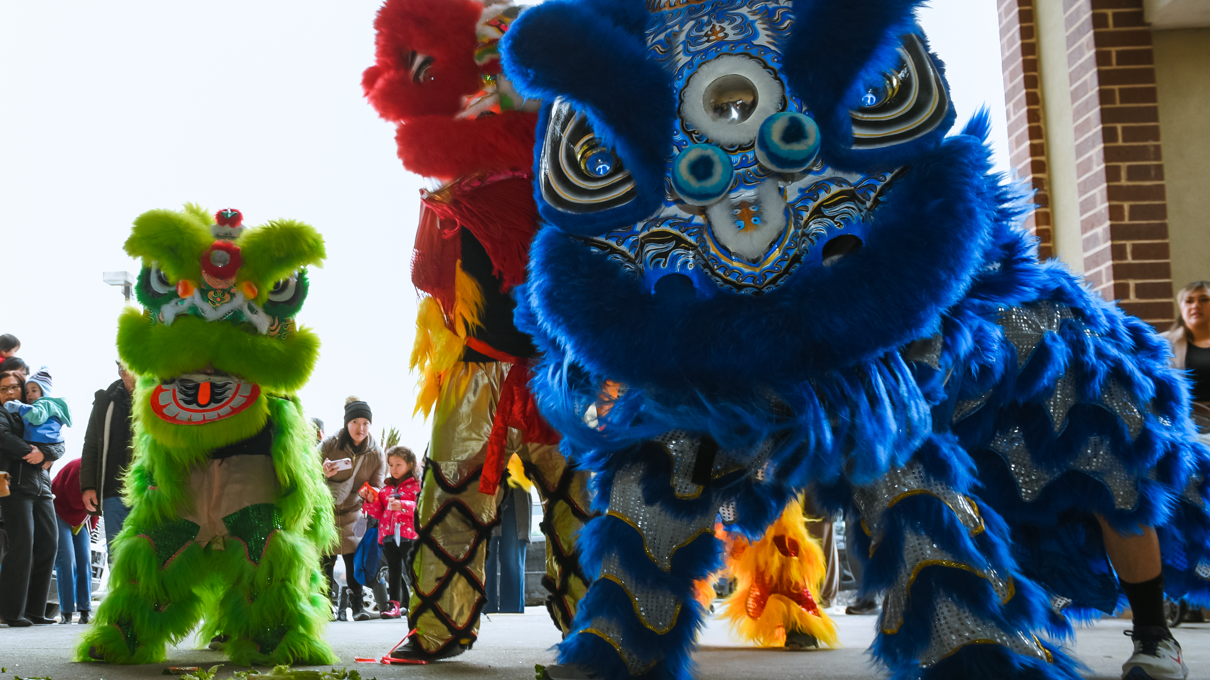 South Jersey Lion Dance performers with their lions