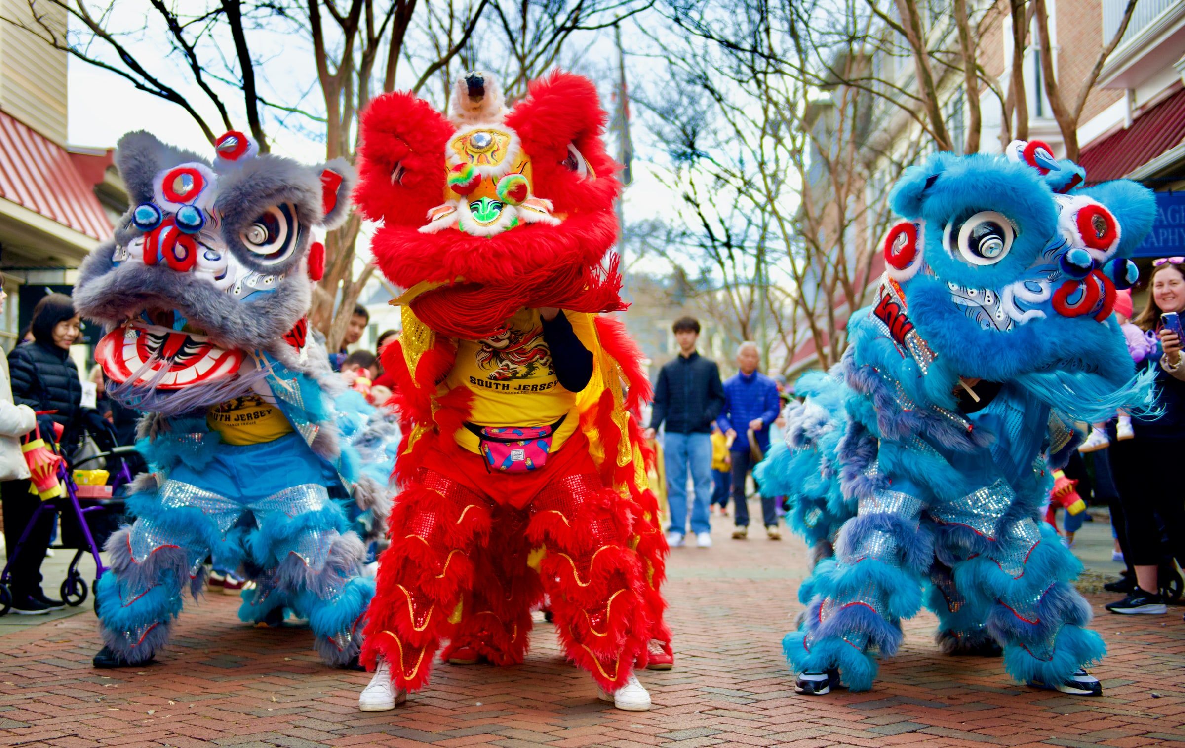 Grey, red and blue lions performing side by side in a town square